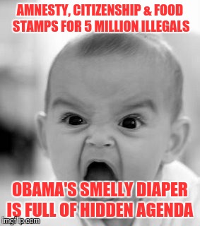 Angry Baby | AMNESTY, CITIZENSHIP & FOOD STAMPS FOR 5 MILLION ILLEGALS OBAMA'S SMELLY DIAPER IS FULL OF HIDDEN AGENDA | image tagged in memes,angry baby | made w/ Imgflip meme maker