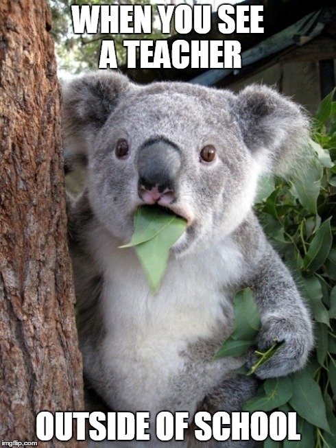 Just Don't Let Them See you | WHEN YOU SEE A TEACHER OUTSIDE OF SCHOOL | image tagged in memes,surprised coala,teacher,school,coala,surprised | made w/ Imgflip meme maker