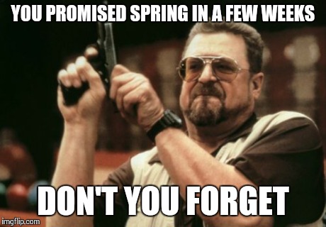 Am I The Only One Around Here Meme | YOU PROMISED SPRING IN A FEW WEEKS DON'T YOU FORGET | image tagged in memes,am i the only one around here | made w/ Imgflip meme maker