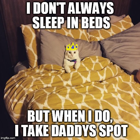 I DON'T ALWAYS SLEEP IN BEDS BUT WHEN I DO, I TAKE DADDYS SPOT | made w/ Imgflip meme maker