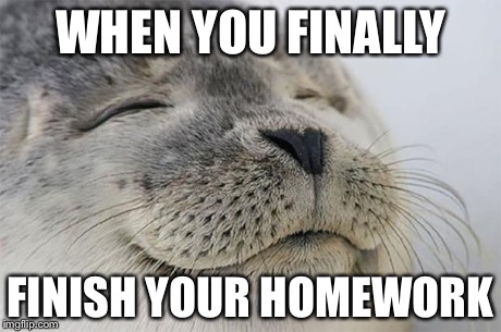 Satisfied Seal | WHEN YOU FINALLY FINISH YOUR HOMEWORK | image tagged in memes,satisfied seal | made w/ Imgflip meme maker