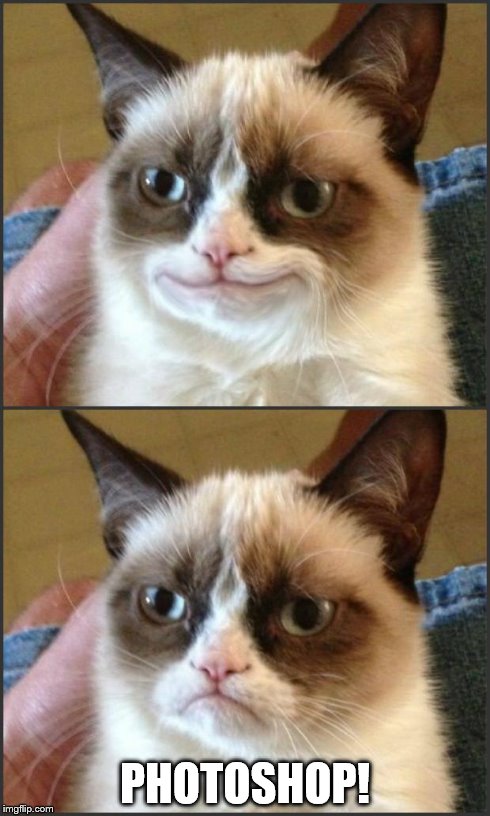 Happy Grumpy cat photoshop | PHOTOSHOP! | image tagged in grumpy cat,photoshop | made w/ Imgflip meme maker