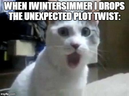 IWintersimmer I meme | WHEN IWINTERSIMMER I DROPS THE UNEXPECTED PLOT TWIST: | image tagged in iwintersimmer i | made w/ Imgflip meme maker