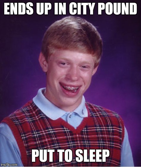 Bad Luck Brian Meme | ENDS UP IN CITY POUND PUT TO SLEEP | image tagged in memes,bad luck brian | made w/ Imgflip meme maker