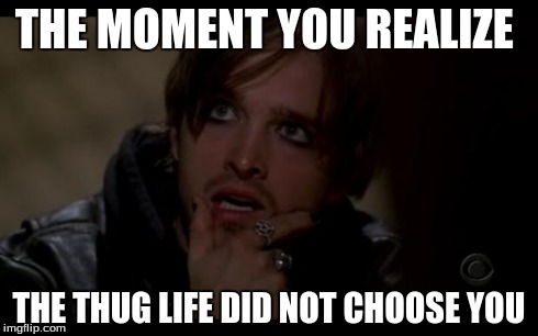 whaaaa! | THE MOMENT YOU REALIZE THE THUG LIFE DID NOT CHOOSE YOU | image tagged in mr pinkman,jesse pinkman | made w/ Imgflip meme maker