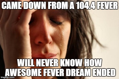 First World Problems Meme | CAME DOWN FROM A 104.4 FEVER WILL NEVER KNOW HOW AWESOME FEVER DREAM ENDED | image tagged in memes,first world problems | made w/ Imgflip meme maker