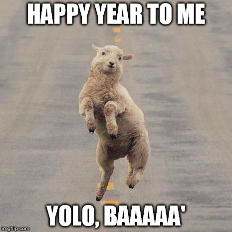 HappySheep | HAPPY YEAR TO ME YOLO, BAAAAA' | image tagged in happysheep,goat | made w/ Imgflip meme maker