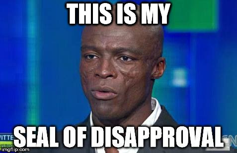 seal of disapproval | THIS IS MY | image tagged in seal,disapproval | made w/ Imgflip meme maker