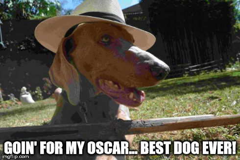 Oscars | GOIN' FOR MY OSCAR... BEST DOG EVER! | image tagged in oscars,dog | made w/ Imgflip meme maker