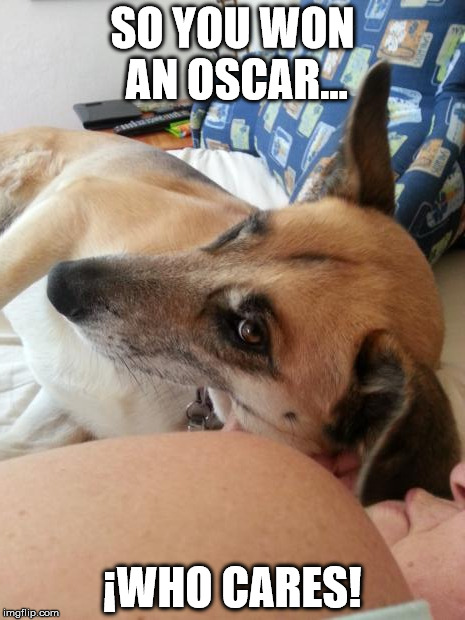 SO YOU WON AN OSCAR... ¡WHO CARES! | image tagged in oscars | made w/ Imgflip meme maker