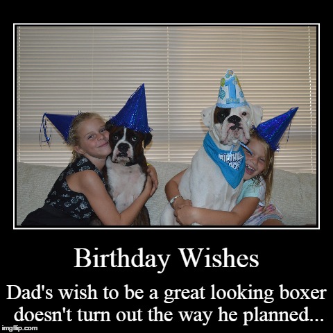 Birthday wishes | image tagged in funny,demotivationals,dogs,birthday | made w/ Imgflip demotivational maker