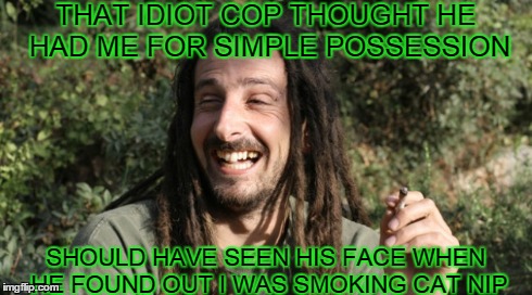 Da Fuzz Man | THAT IDIOT COP THOUGHT HE HAD ME FOR SIMPLE POSSESSION SHOULD HAVE SEEN HIS FACE WHEN HE FOUND OUT I WAS SMOKING CAT NIP | image tagged in hippie,cops,stoned,weed,funny memes,laughing | made w/ Imgflip meme maker