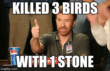 Chuck Norris Approves Meme | KILLED 3 BIRDS WITH 1 STONE | image tagged in memes,chuck norris approves | made w/ Imgflip meme maker