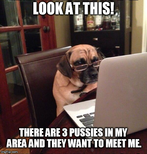 Computer Dog | LOOK AT THIS! THERE ARE 3 PUSSIES IN MY AREA AND THEY WANT TO MEET ME. | image tagged in computer dog | made w/ Imgflip meme maker