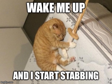 WAKE ME UP AND I START STABBING | image tagged in cat stabby | made w/ Imgflip meme maker