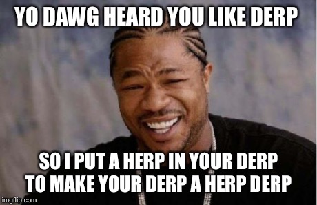 Yo Dawg Heard You Meme | YO DAWG HEARD YOU LIKE DERP SO I PUT A HERP IN YOUR DERP TO MAKE YOUR DERP A HERP DERP | image tagged in memes,yo dawg heard you | made w/ Imgflip meme maker