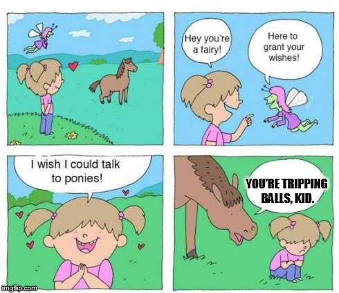 Talk to Ponies | YOU'RE TRIPPING BALLS, KID. | image tagged in talk to ponies | made w/ Imgflip meme maker