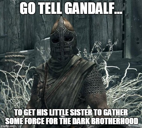 SkyrimGuard | GO TELL GANDALF... TO GET HIS LITTLE SISTER TO GATHER SOME FORCE FOR THE DARK BROTHERHOOD | image tagged in skyrimguard | made w/ Imgflip meme maker