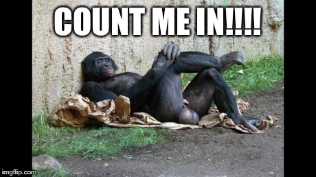Big balls gorilla | COUNT ME IN!!!! | image tagged in big balls gorilla | made w/ Imgflip meme maker