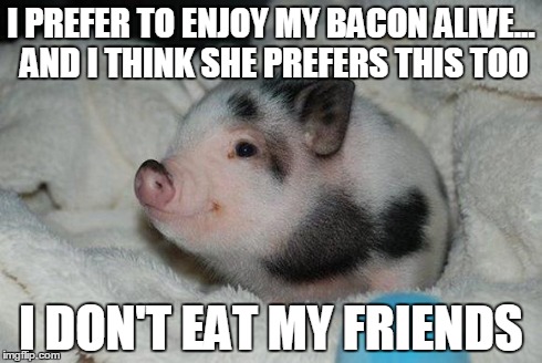 Vegan | I PREFER TO ENJOY MY BACON ALIVE... AND I THINK SHE PREFERS THIS TOO I DON'T EAT MY FRIENDS | image tagged in happy piglet,piggy,pig,cute,bacon,vegan | made w/ Imgflip meme maker