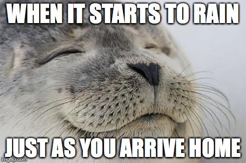 Satisfied Seal | WHEN IT STARTS TO RAIN JUST AS YOU ARRIVE HOME | image tagged in memes,satisfied seal,AdviceAnimals | made w/ Imgflip meme maker