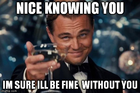 Leonardo Dicaprio Cheers Meme | NICE KNOWING YOU IM SURE ILL BE FINE  WITHOUT YOU | image tagged in memes,leonardo dicaprio cheers | made w/ Imgflip meme maker