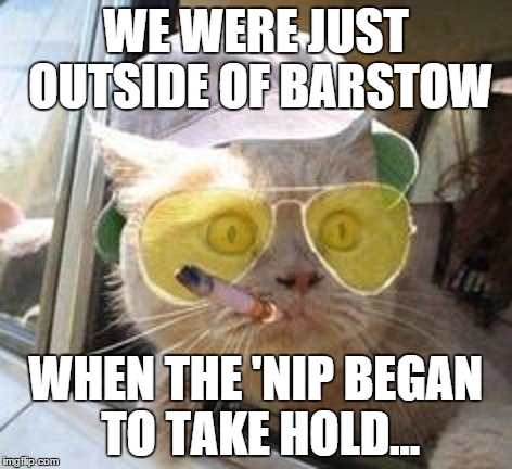 WE WERE JUST OUTSIDE OF BARSTOW WHEN THE 'NIP BEGAN TO TAKE HOLD... | image tagged in dope | made w/ Imgflip meme maker