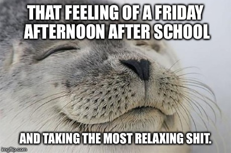 satisfied seal meme imgflip i0j4m satisfied seal meme imgflip