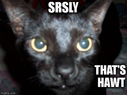 srsly byron the cat | SRSLY THAT'S HAWT | image tagged in srsly byron the cat | made w/ Imgflip meme maker