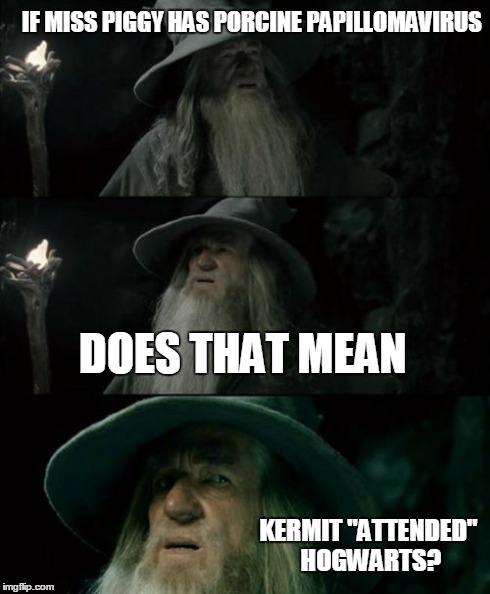 Confused Gandalf | IF MISS PIGGY HAS PORCINE PAPILLOMAVIRUS DOES THAT MEAN KERMIT "ATTENDED" HOGWARTS? | image tagged in memes,confused gandalf | made w/ Imgflip meme maker