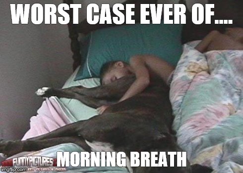 morning breath | WORST CASE EVER OF.... MORNING BREATH | image tagged in morning breath | made w/ Imgflip meme maker