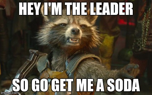 rocket racoon | HEY I'M THE LEADER SO GO GET ME A SODA | image tagged in rocket racoon | made w/ Imgflip meme maker