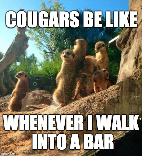 COUGARS BE LIKE WHENEVER I WALK INTO A BAR | image tagged in meerkats2 | made w/ Imgflip meme maker