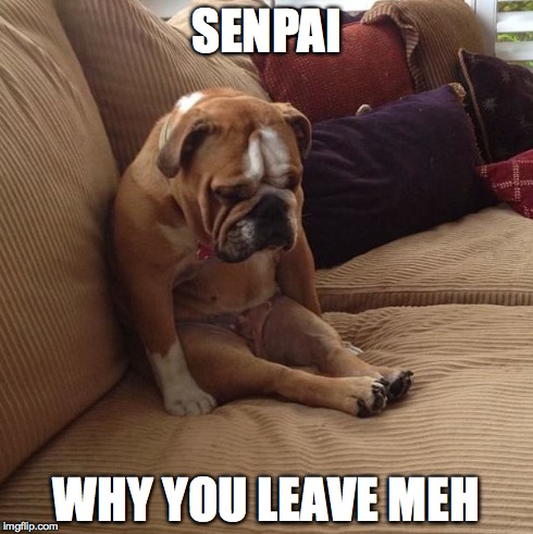 bulldogsad | SENPAI WHY YOU LEAVE MEH | image tagged in bulldogsad | made w/ Imgflip meme maker