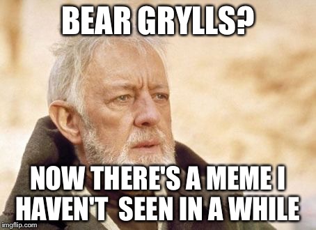 Obi Wan Kenobi | BEAR GRYLLS? NOW THERE'S A MEME I HAVEN'T  SEEN IN A WHILE | image tagged in memes,obi wan kenobi | made w/ Imgflip meme maker