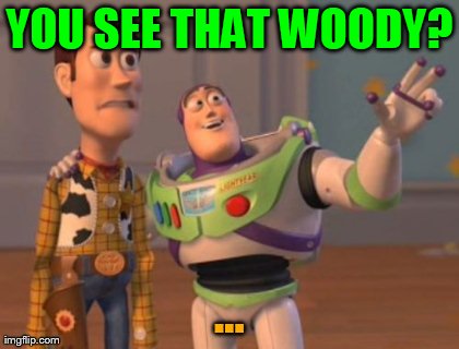 YOU SEE THAT WOODY? ... | image tagged in memes,x x everywhere | made w/ Imgflip meme maker