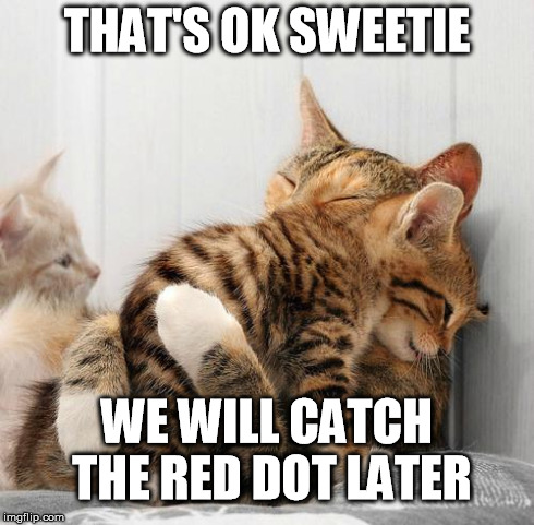 Consoling Kittens | THAT'S OK SWEETIE WE WILL CATCH THE RED DOT LATER | image tagged in consoling kittens | made w/ Imgflip meme maker