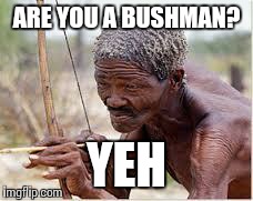 ARE YOU A BUSHMAN? YEH | image tagged in bushman | made w/ Imgflip meme maker