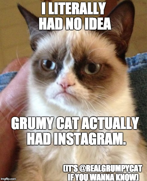 Grumpy Cat | I LITERALLY HAD NO IDEA GRUMY CAT ACTUALLY HAD INSTAGRAM. (IT'S @REALGRUMPYCAT IF YOU WANNA KNOW) | image tagged in memes,grumpy cat | made w/ Imgflip meme maker