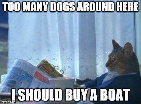 I Should Buy A Boat Cat | TOO MANY DOGS AROUND HERE I SHOULD BUY A BOAT | image tagged in memes,i should buy a boat cat | made w/ Imgflip meme maker