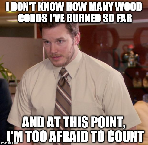 My stove hasn't been slacking off in the last few weeks | I DON'T KNOW HOW MANY WOOD CORDS I'VE BURNED SO FAR AND AT THIS POINT, I'M TOO AFRAID TO COUNT | image tagged in memes,afraid to ask andy,cold weather | made w/ Imgflip meme maker
