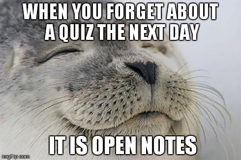 Satisfied Seal Meme | WHEN YOU FORGET ABOUT A QUIZ THE NEXT DAY IT IS OPEN NOTES | image tagged in memes,satisfied seal | made w/ Imgflip meme maker
