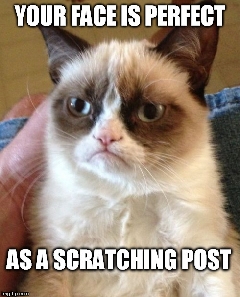 Grumpy Cat Meme | YOUR FACE IS PERFECT AS A SCRATCHING POST | image tagged in memes,grumpy cat | made w/ Imgflip meme maker