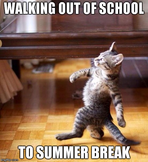 Me every friday | WALKING OUT OF SCHOOL TO SUMMER BREAK | image tagged in swag cat,like a boss,boss,cat,memes,funny cat | made w/ Imgflip meme maker