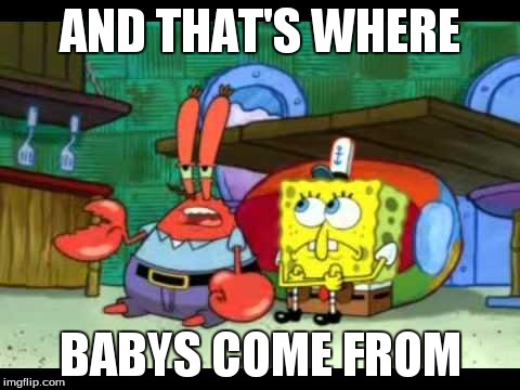 Mr. Krabs | AND THAT'S WHERE BABYS COME FROM | image tagged in mr krabs | made w/ Imgflip meme maker