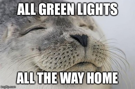 Satisfied Seal | ALL GREEN LIGHTS ALL THE WAY HOME | image tagged in memes,satisfied seal,funny | made w/ Imgflip meme maker
