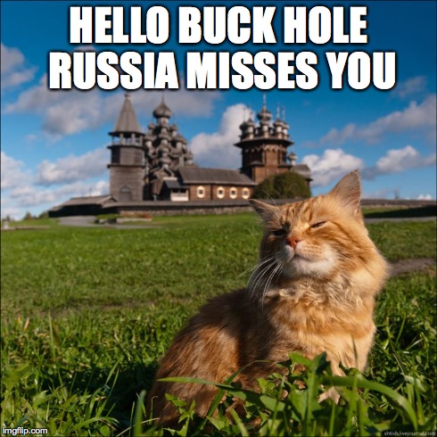 Buck Hole | HELLO BUCK HOLE RUSSIA MISSES YOU | image tagged in buck hole,funny cats,funny,kitty,meow,i love you | made w/ Imgflip meme maker