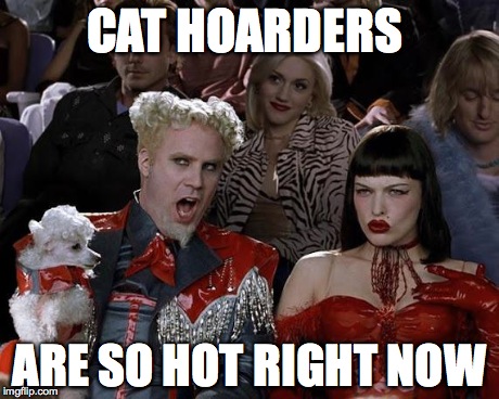 so hot right now | CAT HOARDERS ARE SO HOT RIGHT NOW | image tagged in so hot right now | made w/ Imgflip meme maker