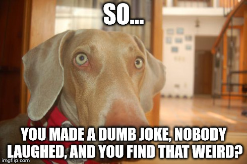joke | SO... YOU MADE A DUMB JOKE, NOBODY LAUGHED, AND YOU FIND THAT WEIRD? | image tagged in come again,joke,stupid | made w/ Imgflip meme maker