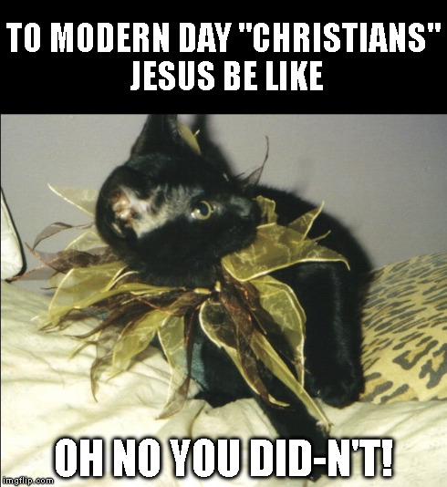 oh no you didn't cat byron | TO MODERN DAY "CHRISTIANS" JESUS BE LIKE OH NO YOU DID-N'T! | image tagged in memes,cats,cute,funny,oh no you didn't,male feminist | made w/ Imgflip meme maker